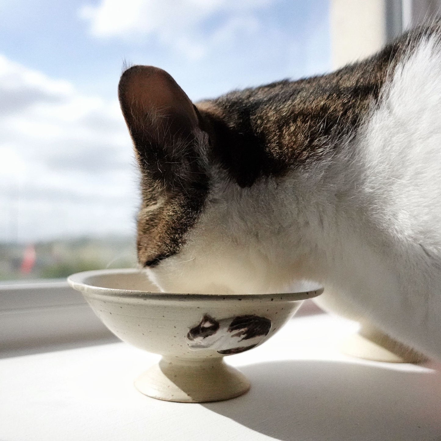 The Umai! Cat Bowl