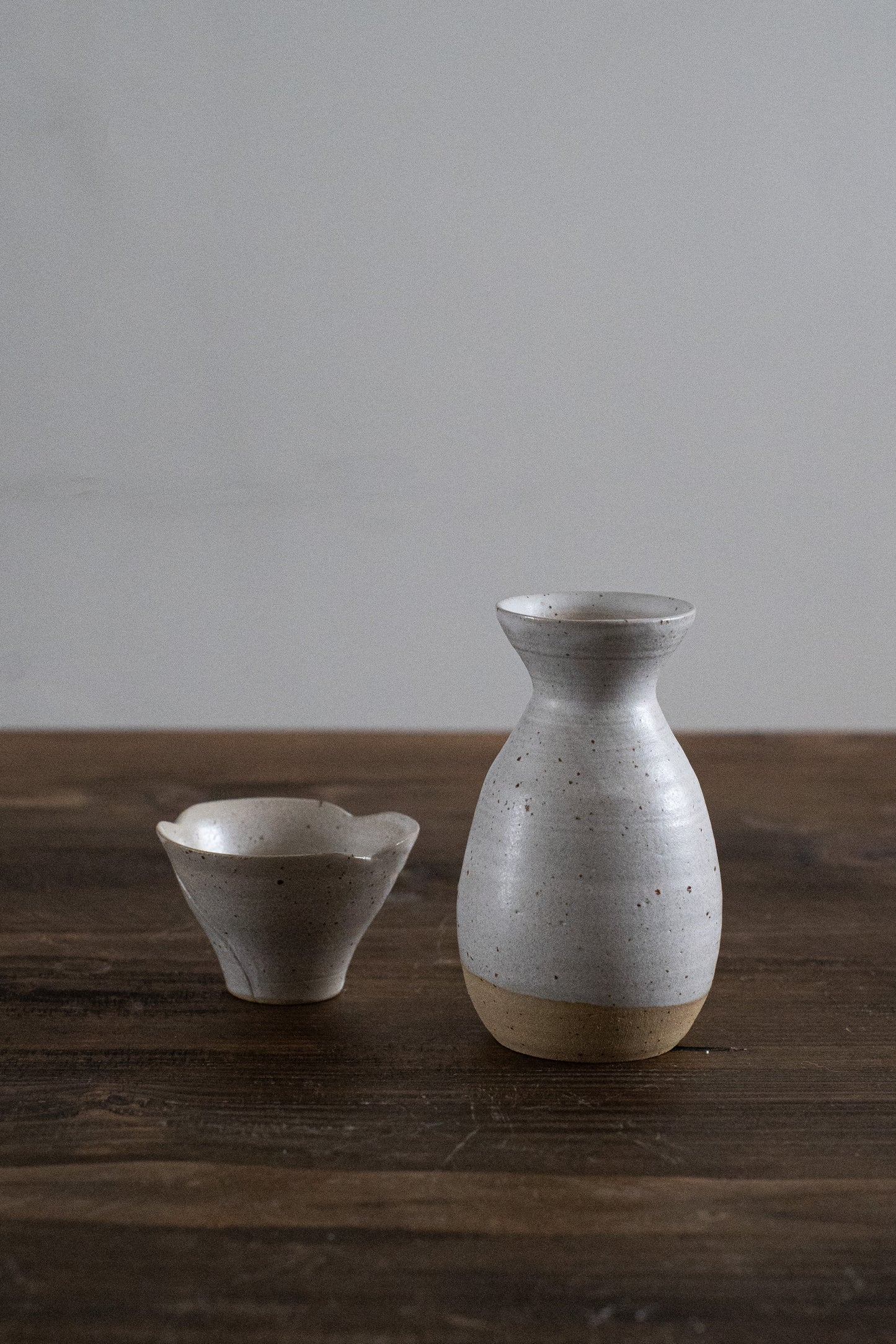 Sake bottle and cup set