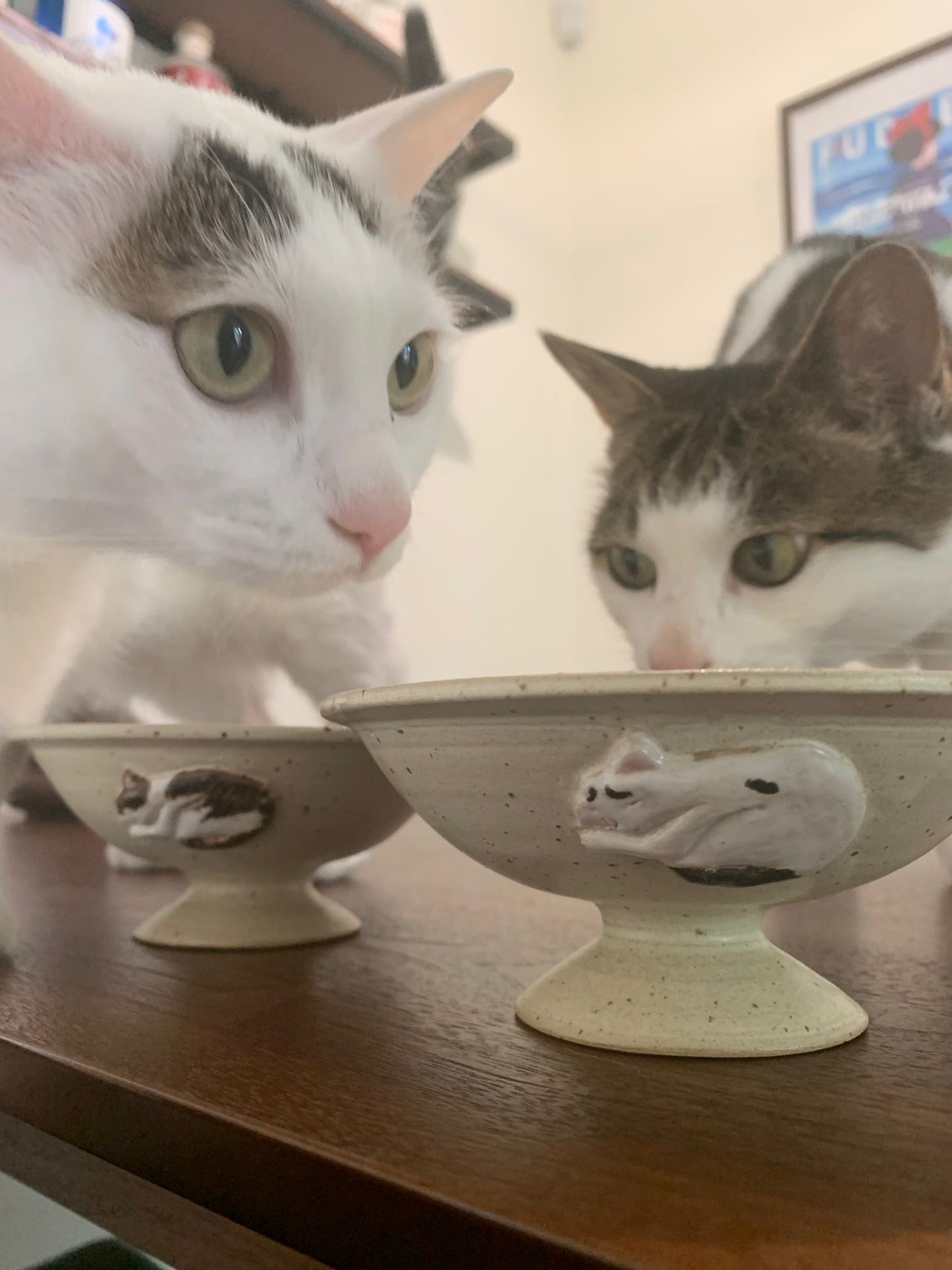 The Umai! Cat Bowl