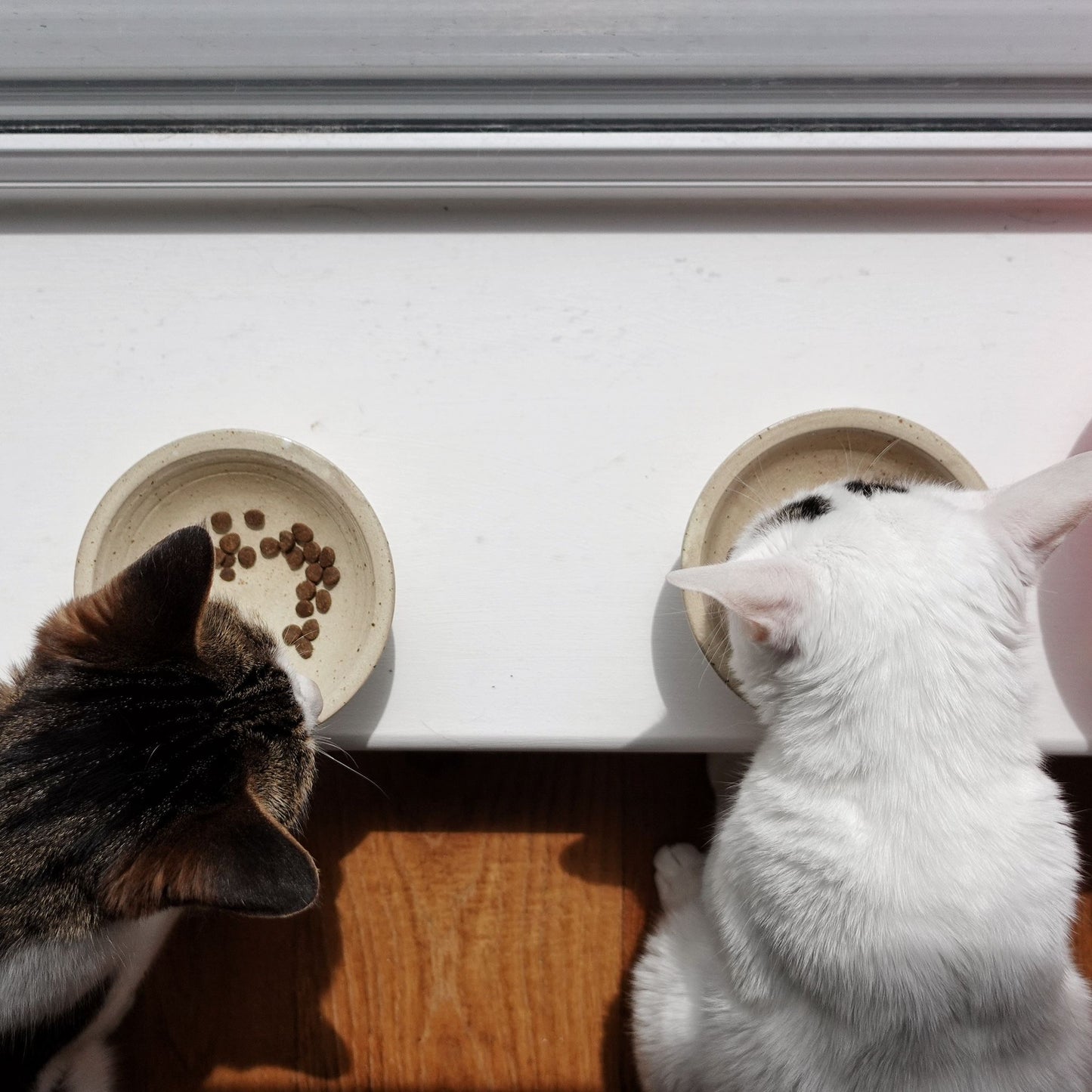 The Umai! Cat Bowl