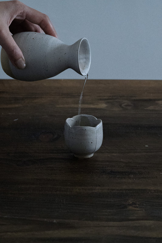 Sake bottle and cup set